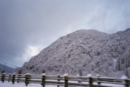 House of Light. Ricoh Gr1s. FUJI SUPERIA X-TRA 400 35mm FILM.