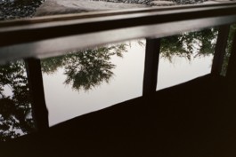 travel with film