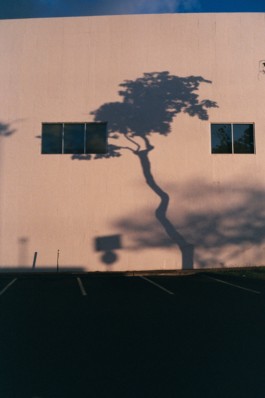 travel with film